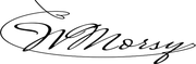 waleed_morsy_signature_180x59